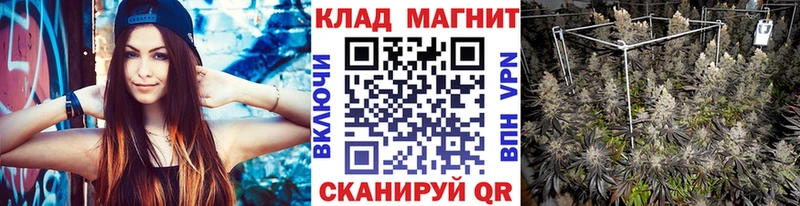 Где купить наркоту Пошехонье АМФ Alpha PVP Каннабис Галлюциногенные грибы COCAIN