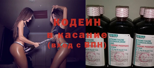 ГАЛЛЮЦИНОГЕННЫЕ ГРИБЫ Михайлов
