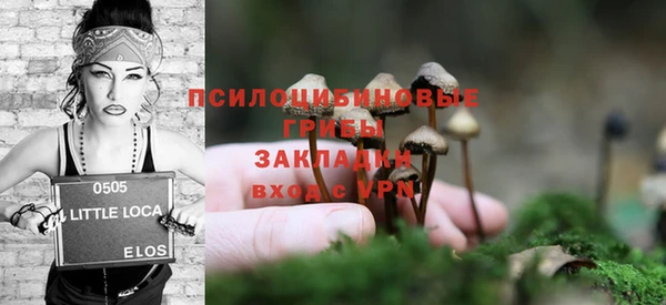 мдпв Михайловск