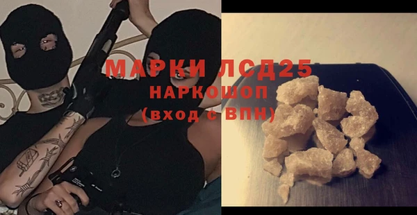 ГАЛЛЮЦИНОГЕННЫЕ ГРИБЫ Михайлов
