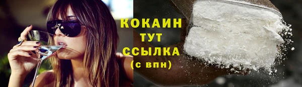 мдпв Михайловск