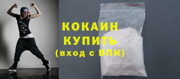 ГАЛЛЮЦИНОГЕННЫЕ ГРИБЫ Михайлов