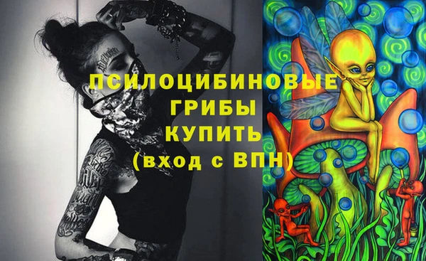 spice Надым