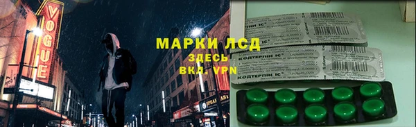 ГАЛЛЮЦИНОГЕННЫЕ ГРИБЫ Михайлов