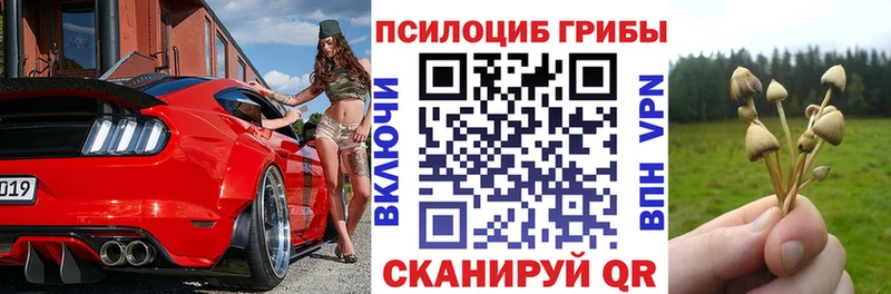 ссылка на мегу ССЫЛКА  Пошехонье  Галлюциногенные грибы мицелий 